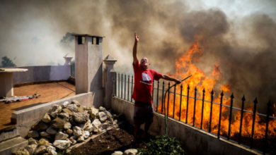 August 2024 Extreme Weather in Portugal