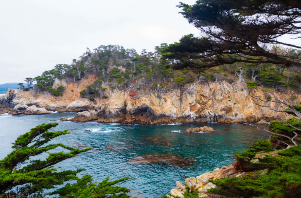 Point Lobos State Natural Reserve