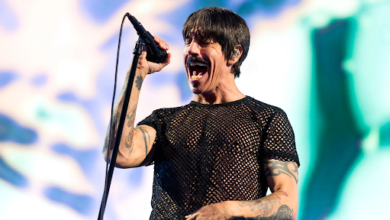 anthony kiedis net worth​