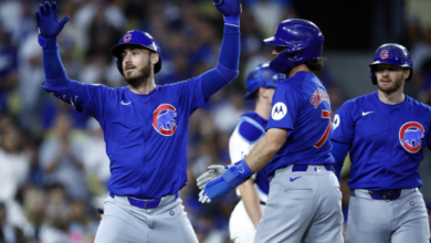 Chicago Cubs vs Atlanta Braves Match Player Stats